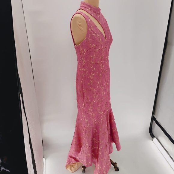 LA MAISON TALULAH FOUNDATION LACE MIDI DRESS IN TEAROSE SIZE large - $350 - Picture 4 of 16
